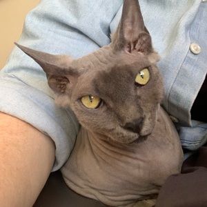 Meet your Posher, Margaret